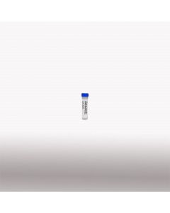 100mg/ml Ampicillin Ready-Made Solution 10x1ml