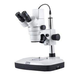 DM-143-FBGG-C Binocular Digital Stereo Microscope