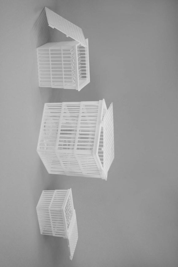 BASKET,PP,TEST TUBE,WITH/LID,9