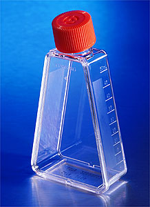 25cm Triangular Angled Neck Cell Culture Flask wit