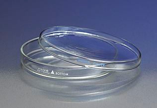 PYREX 100x10mm Petri Dish Bottom Only
