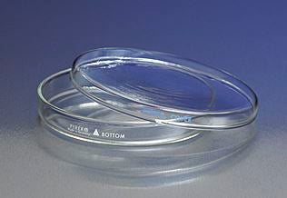 PYREX 100x15mm Petri Dish Bottom Only