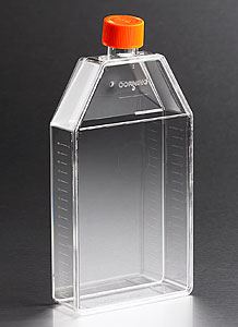 3291 Corning CellBIND 150cm Rectangular Canted Neck Cell Culture Flask with Vent Cap - COP