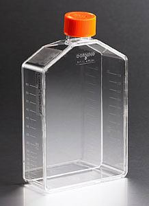 3292 CellBIND 175cm Angled Neck Cell Culture Flask with