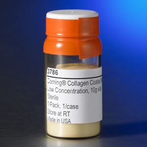 Collagen Coated Microcarriers, 10g Vial