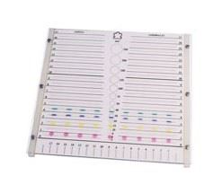 TLC LABELING TEMPLATETLC Labeling Template Case Qt