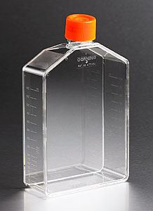431079 175cm Angled Neck Cell Culture Flask with Plug Sea