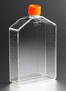 431081 225cm Angled Neck Cell Culture Flask with Plug Sea