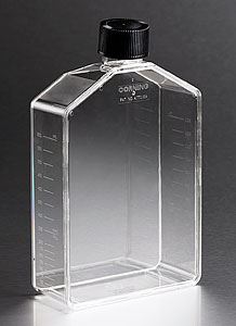431085 175cm Rectangular Angled Neck Cell Culture Flask w