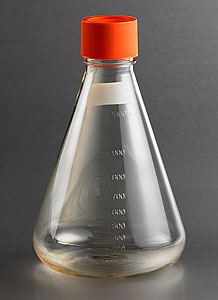 431146 1L Polycarbonate Erlenmeyer Shake Flask with Flat