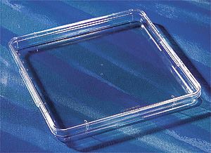 431272 245mm Square BioAssay Dish with Handles, Not Tissu