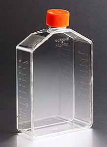 431466 175cm Angled Neck Not Treated Cell Culture Flask w