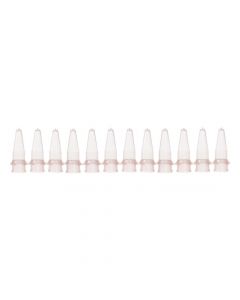 0.2mL Thin Wall Micro Tube