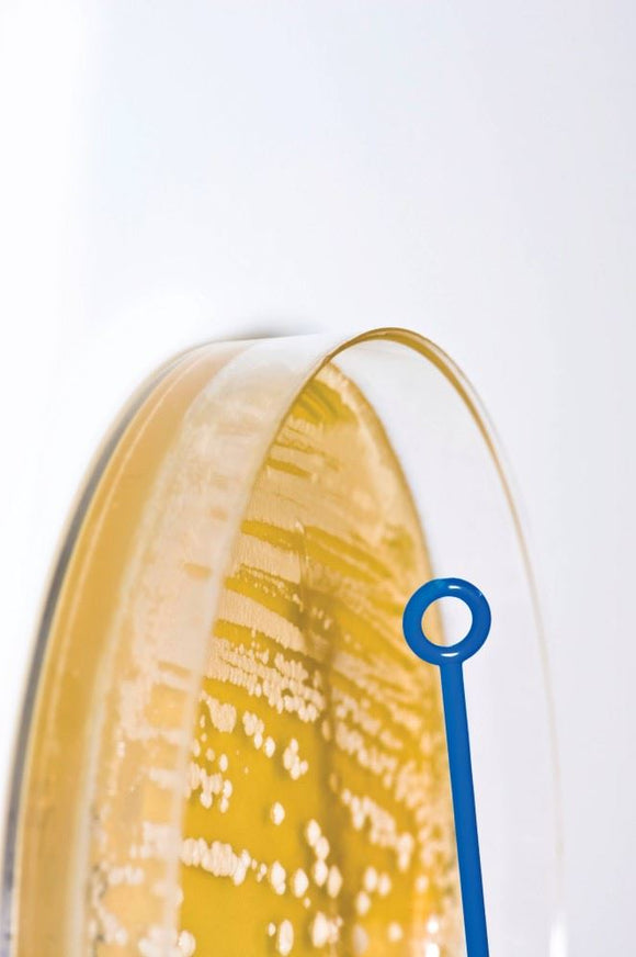 HS Loops 10uL Flexible, sterile pk999