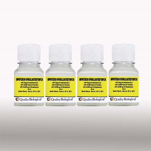 Amphotericin B/Penicillin/ Streptomycin 4x50ml