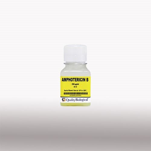 Amphotericin B 250 µg/ml 50ml