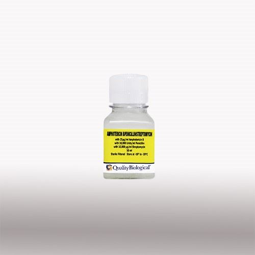 Amphotericin B/Penicillin/ Streptomycin 50ml