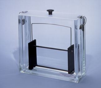 Tank, TLC, Developing,