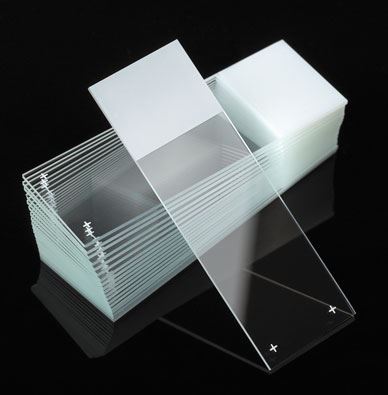 Slide, Microscope,