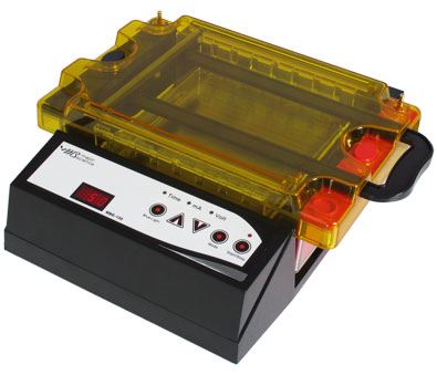 Electrophoresis System