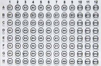 Well Locator, Plastic, Clear,