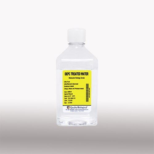 DEPC Treated Water 1L