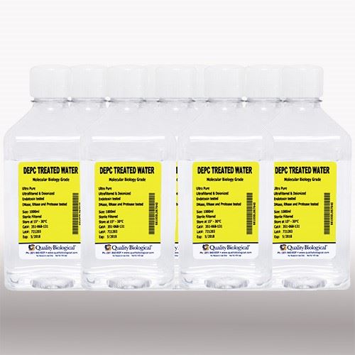 DEPC Treated Water 10x1L