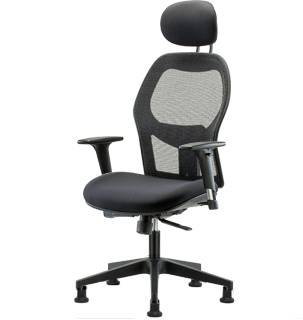NETA Our ergonomic mesh Windrowe Office Chair adju