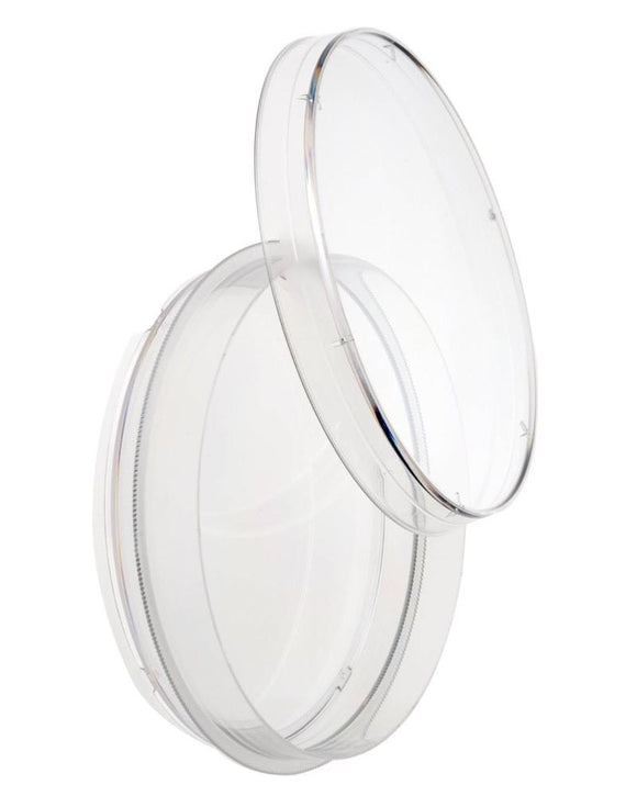Petri Dish, 100 x 20mm Size, Polystyrene, 15 to 16