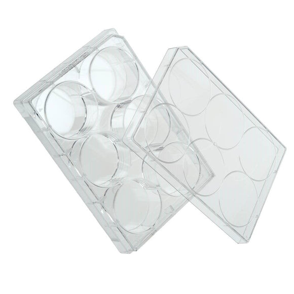 Multiple Well Plate with Lid, 6-well, Clear, Polys