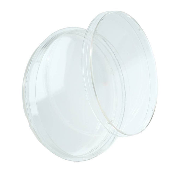 Petri Dish, 100 x 15mm Size, Polystyrene, 15 to 16