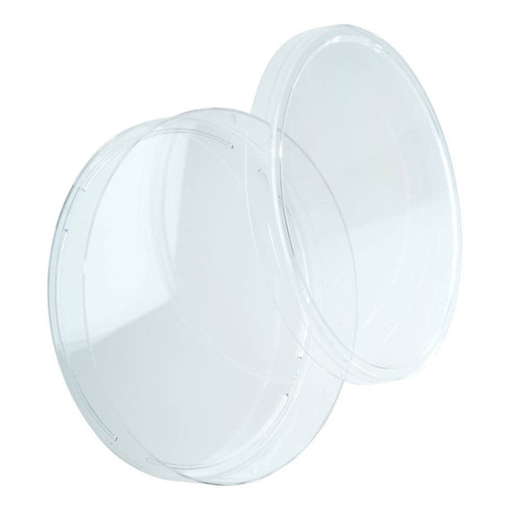 Petri Dish, 100 x 15mm Size, Polystyrene, 15 to 16