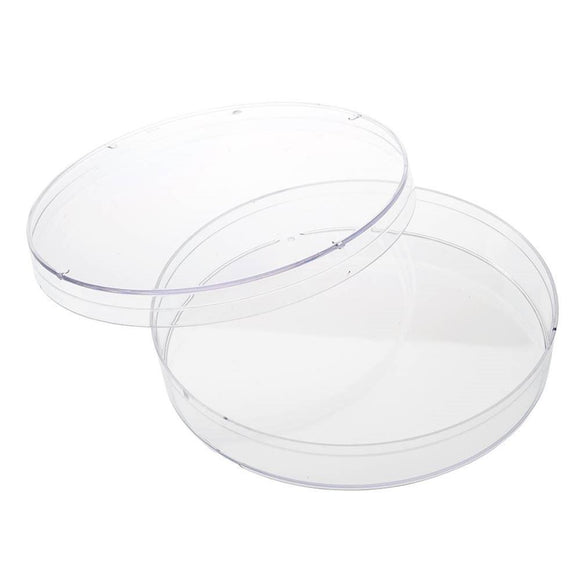 Petri Dish, 100 x 15mm Size, Polystyrene, 15 to 16
