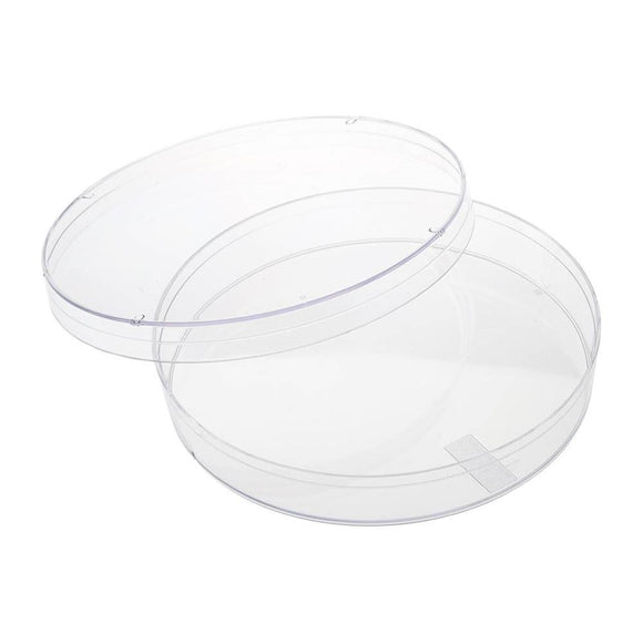 Petri Dish, 100 x 15mm Size, Polystyrene, 15 to 16