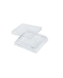 Multiple Well Plate with Lid, 4-well, Clear, Polys