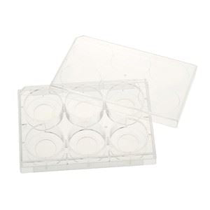 Tissue Culture Plate, Clear, Polystyrene/Glass Bot