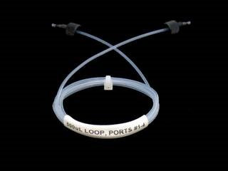 Sample Loop, connects to ports #1 and