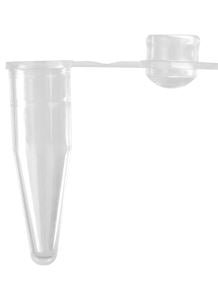 0.2mL Thin Wall PCR Tubes with Domed Cap, Clear, N