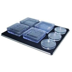 Extra large platform, 50 x 50 cm, with non-slip ru