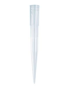 1000uL Pipet Tips, Bevelled, Blue, Non-Sterile, Ra